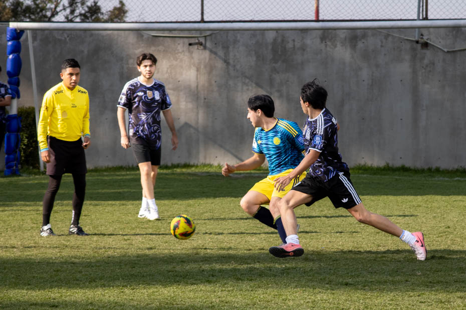 Ir a la Siguiente Foto