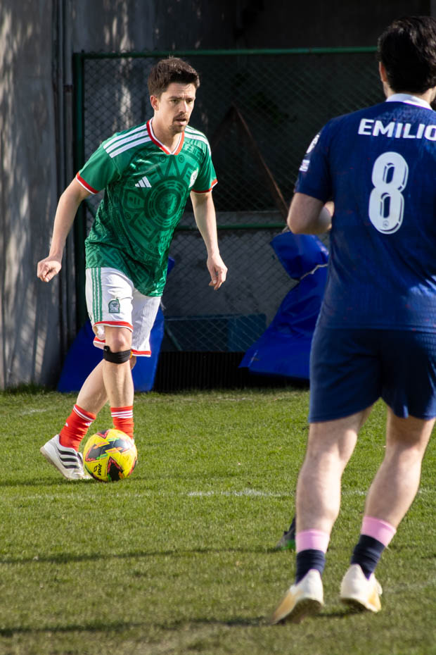 Ir a la Siguiente Foto