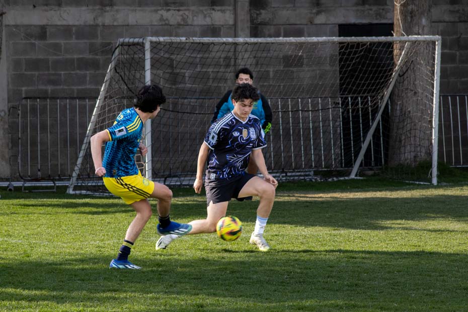 Ir a la Siguiente Foto