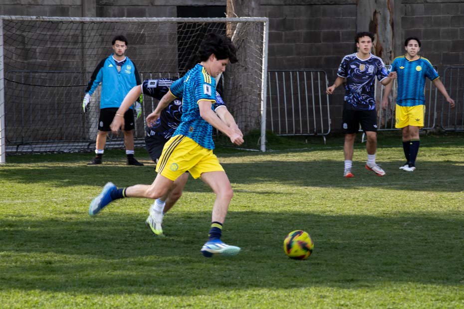 Ir a la Siguiente Foto