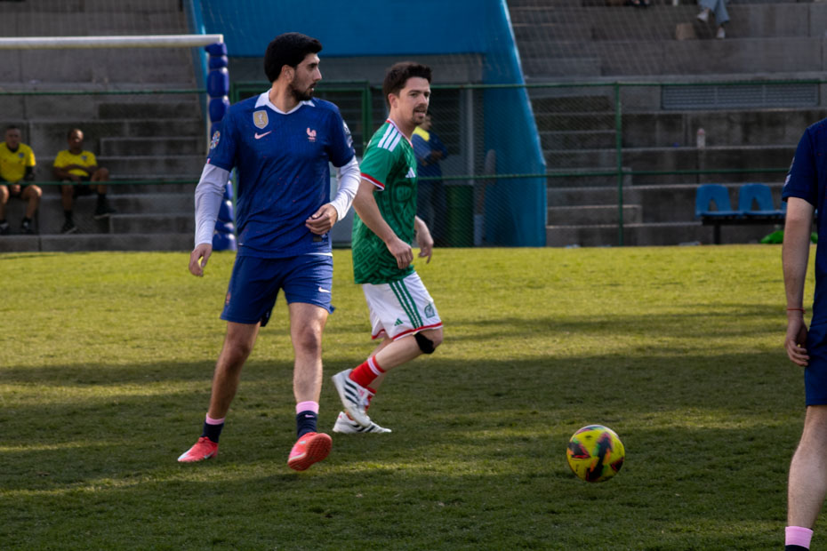 Ir a la Siguiente Foto