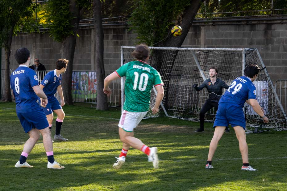 Ir a la Siguiente Foto