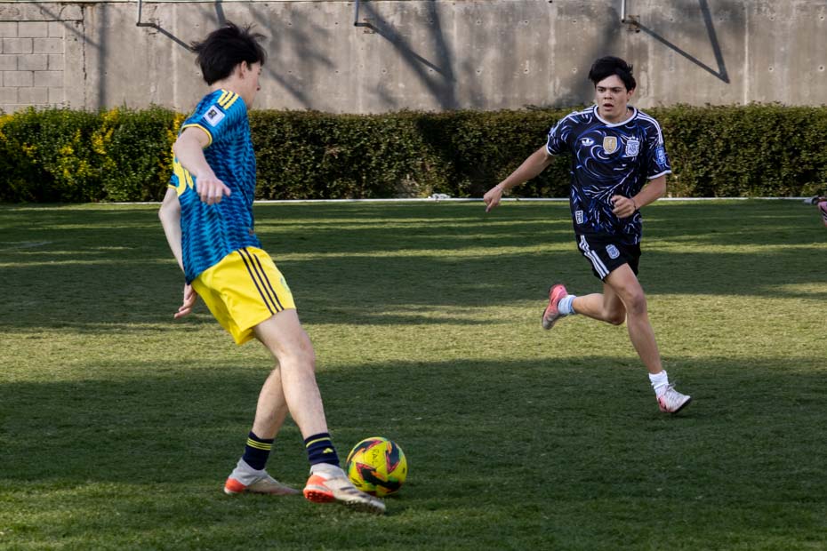 Ir a la Siguiente Foto