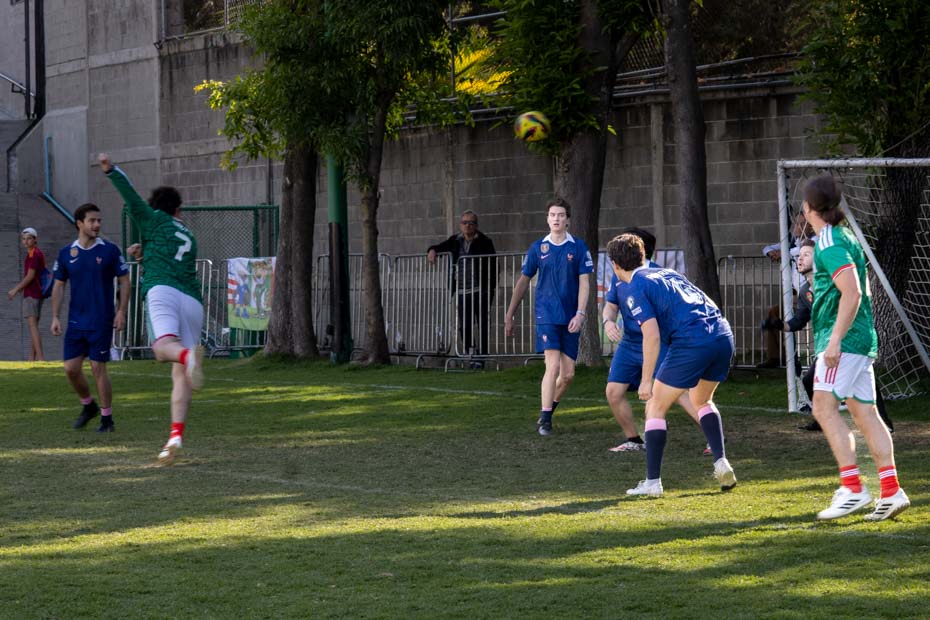 Ir a la Siguiente Foto