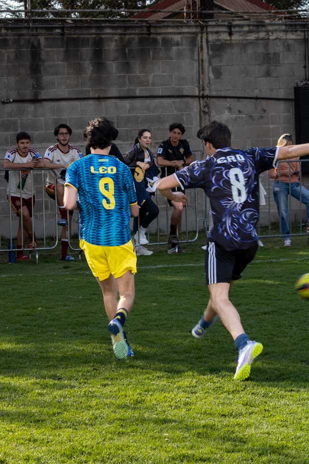 Ir a la Siguiente Foto