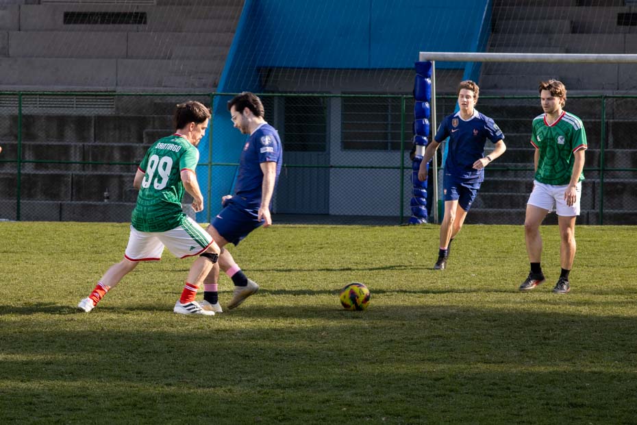 Ir a la Siguiente Foto