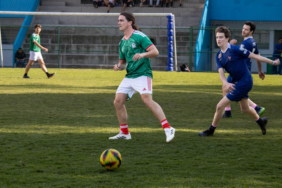 Ir a la Siguiente Foto