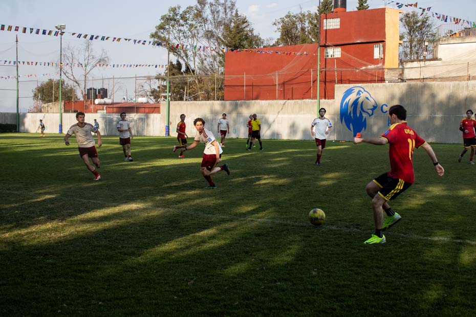 Ir a la Siguiente Foto