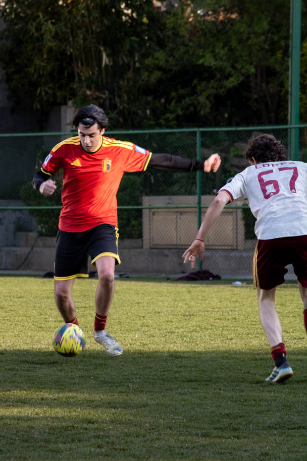 Ir a la Siguiente Foto