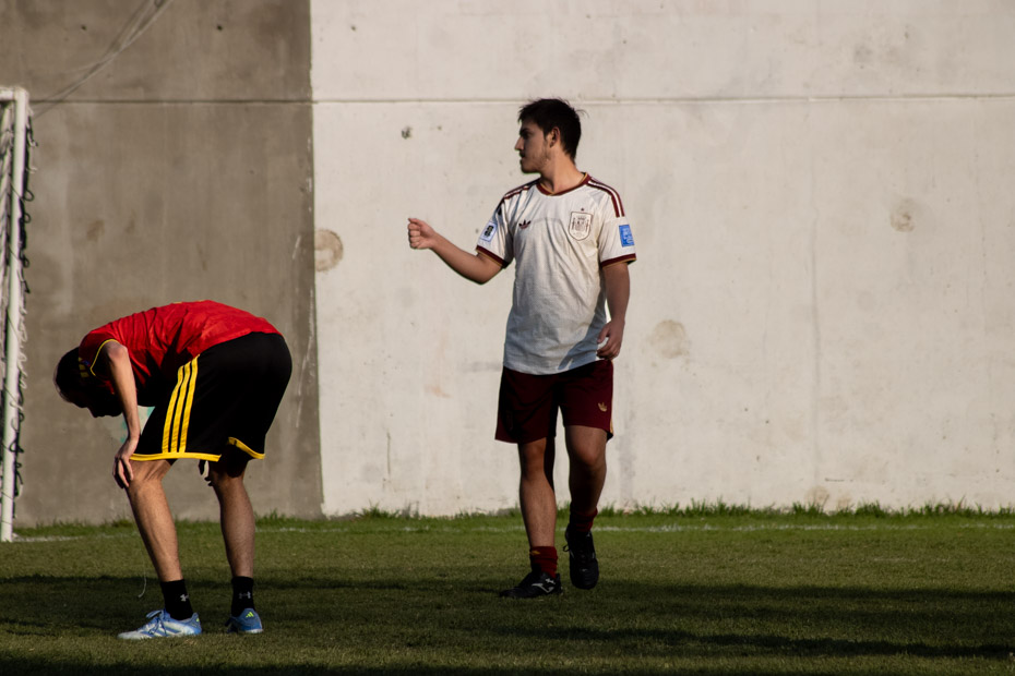 Ir a la Siguiente Foto