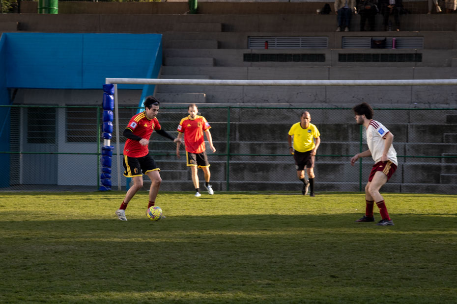 Ir a la Siguiente Foto