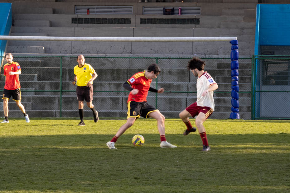 Ir a la Siguiente Foto