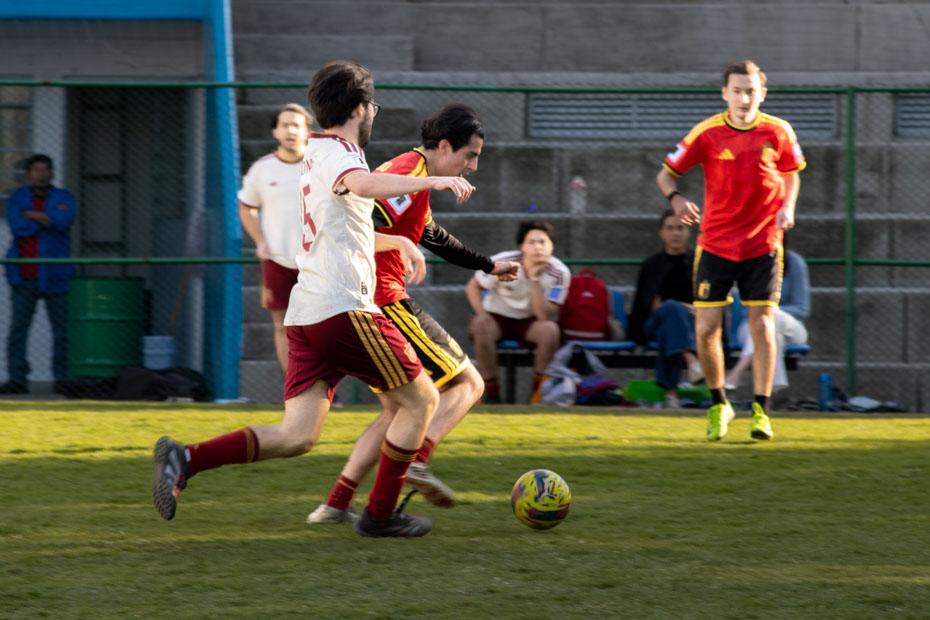 Ir a la Siguiente Foto