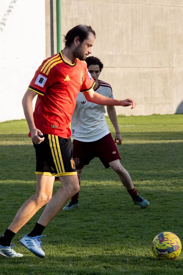 Ir a la Siguiente Foto