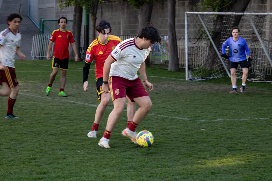 Ir a la Siguiente Foto