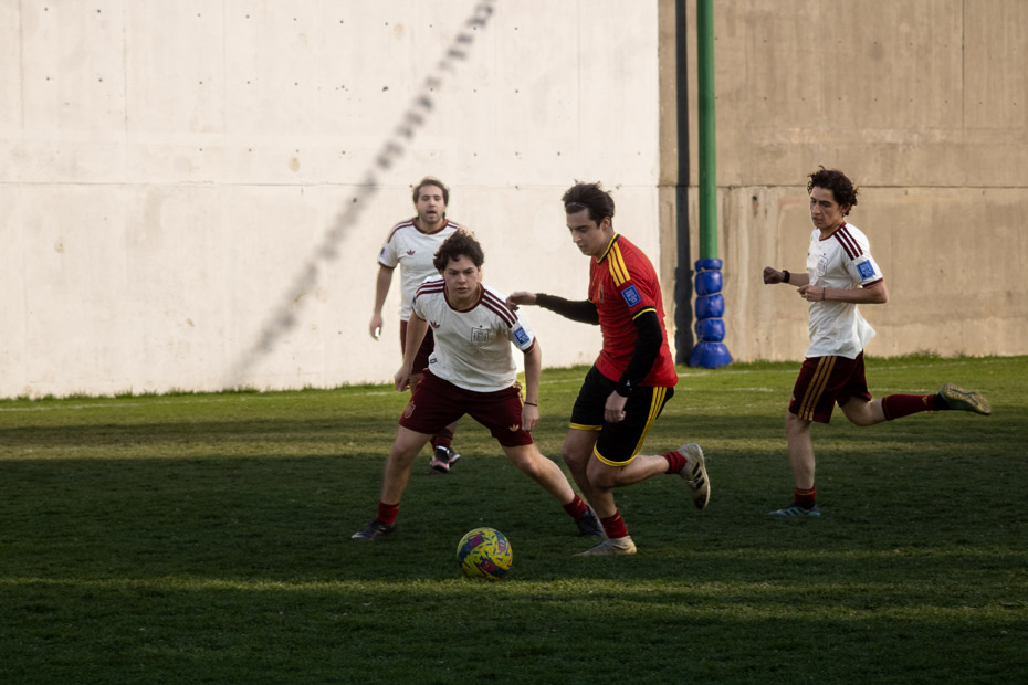 Ir a la Siguiente Foto