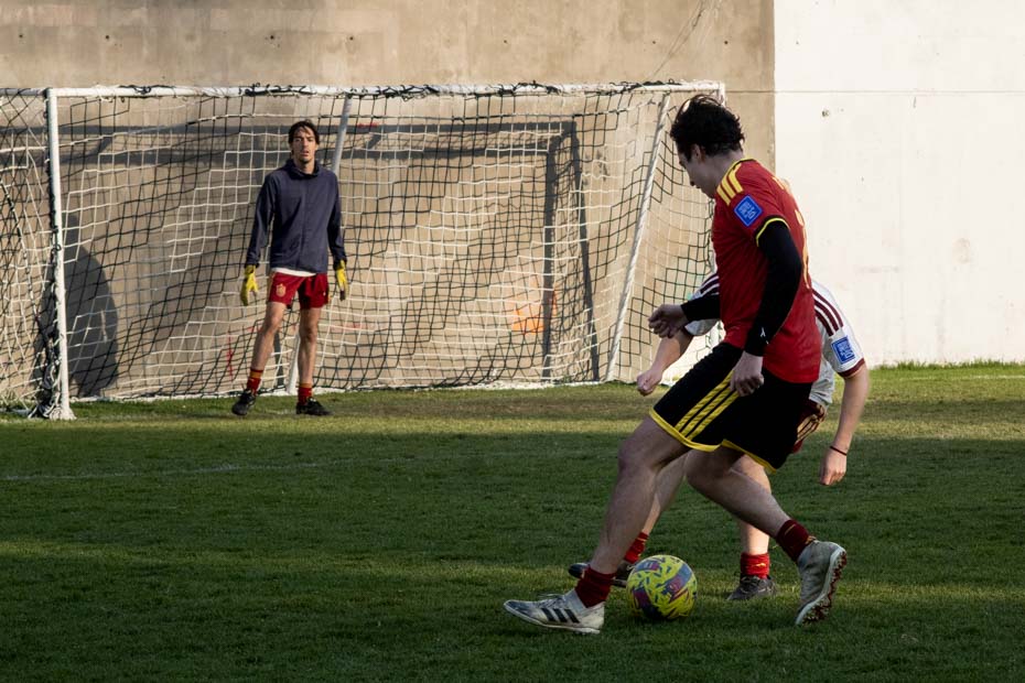 Ir a la Siguiente Foto