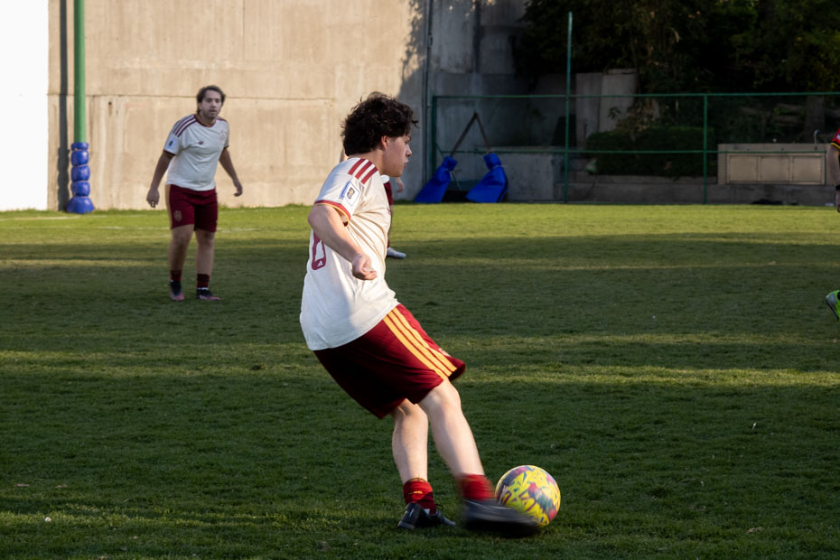 Ir a la Siguiente Foto