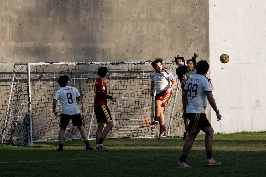 Ir a la Siguiente Foto