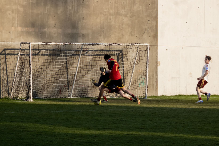 Ir a la Siguiente Foto