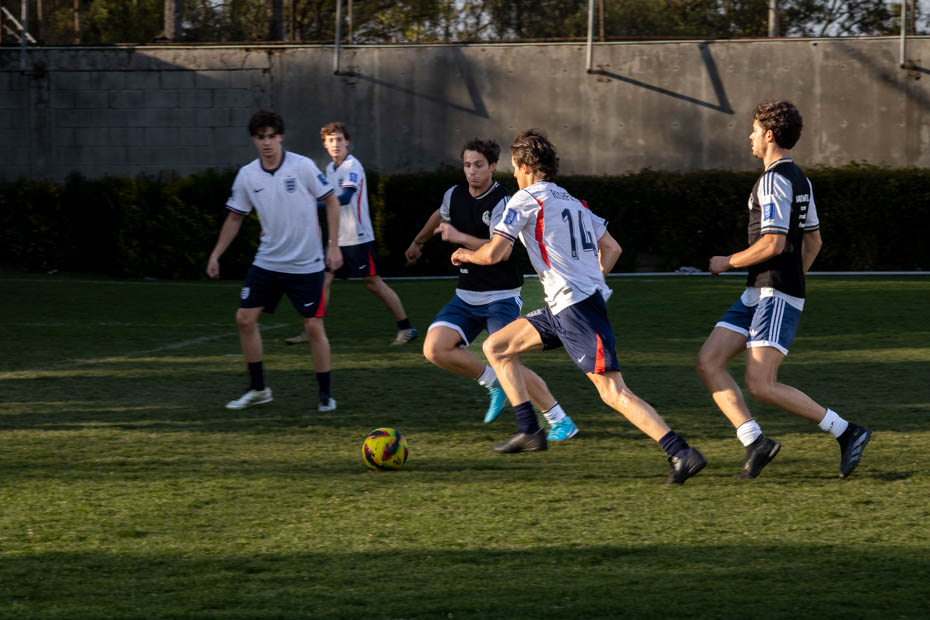 Ir a la Siguiente Foto