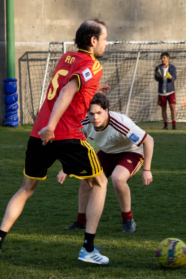 Ir a la Siguiente Foto