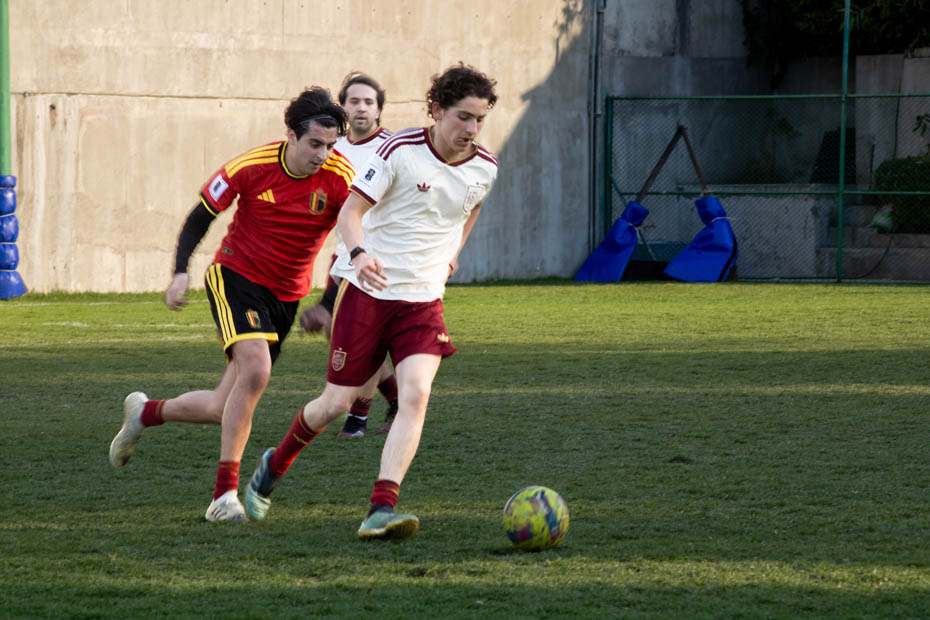 Ir a la Siguiente Foto