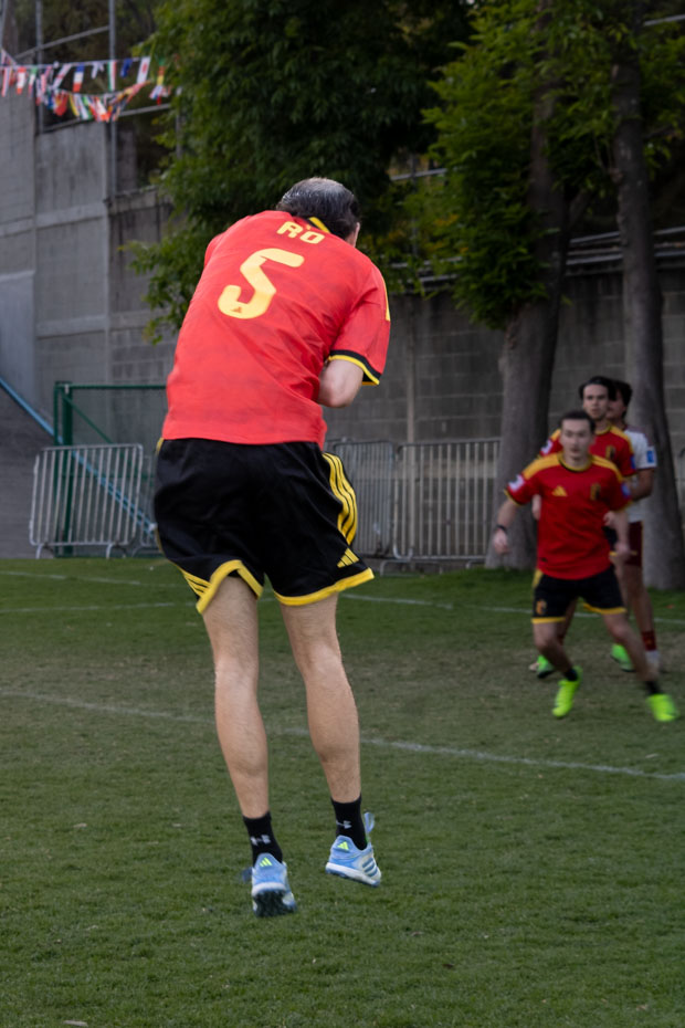 Ir a la Siguiente Foto