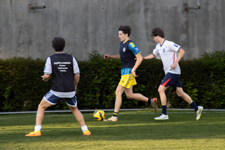 Ir a la Siguiente Foto