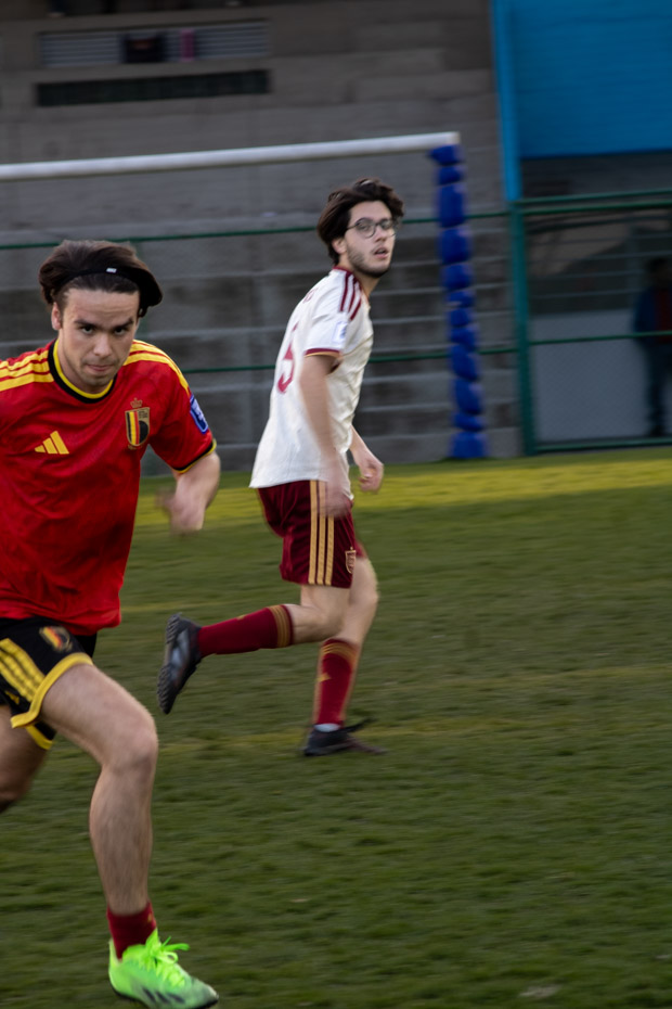 Ir a la Siguiente Foto