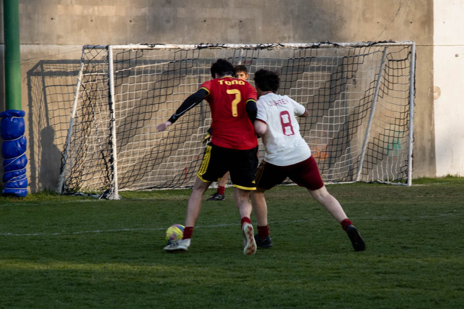 Ir a la Siguiente Foto