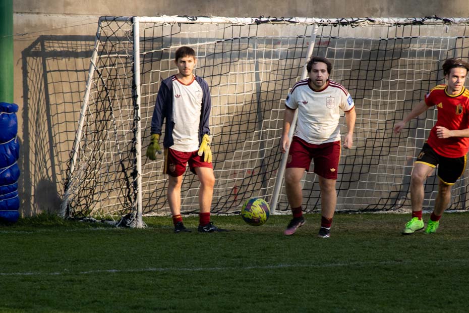 Ir a la Siguiente Foto