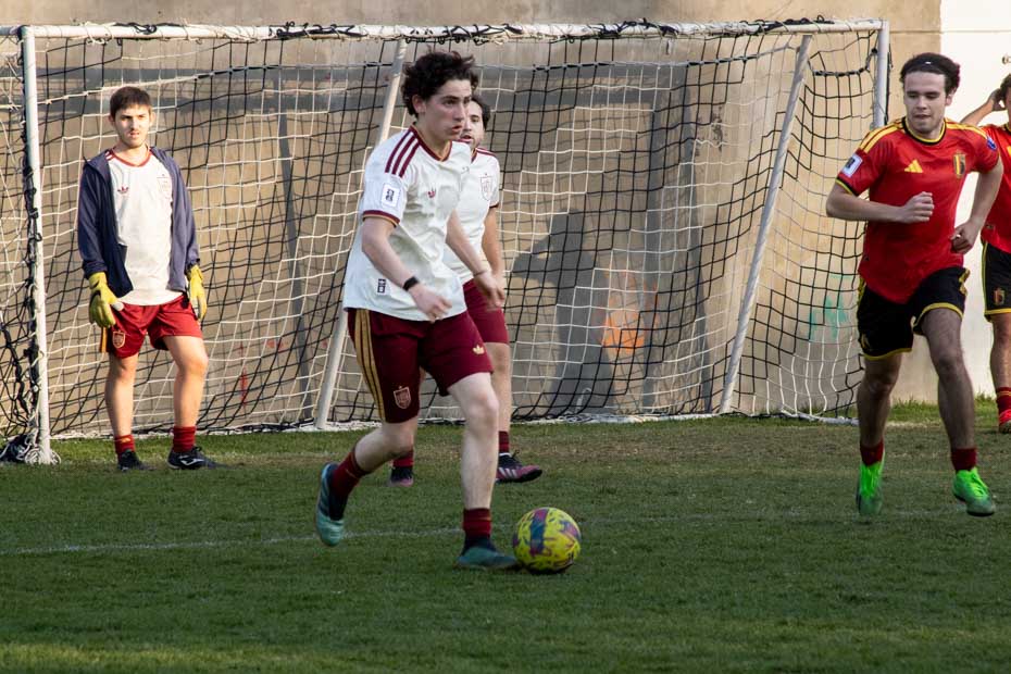 Ir a la Siguiente Foto