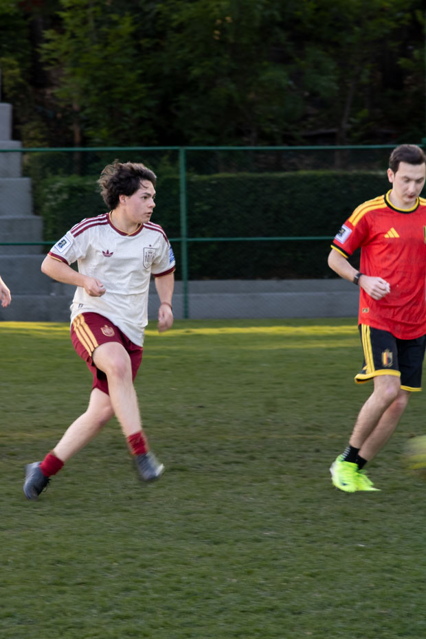 Ir a la Siguiente Foto