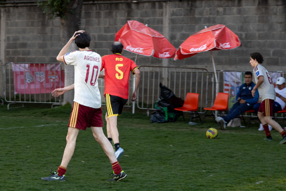 Ir a la Siguiente Foto