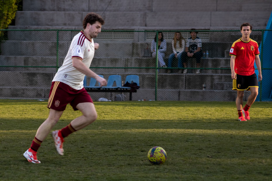 Ir a la Siguiente Foto