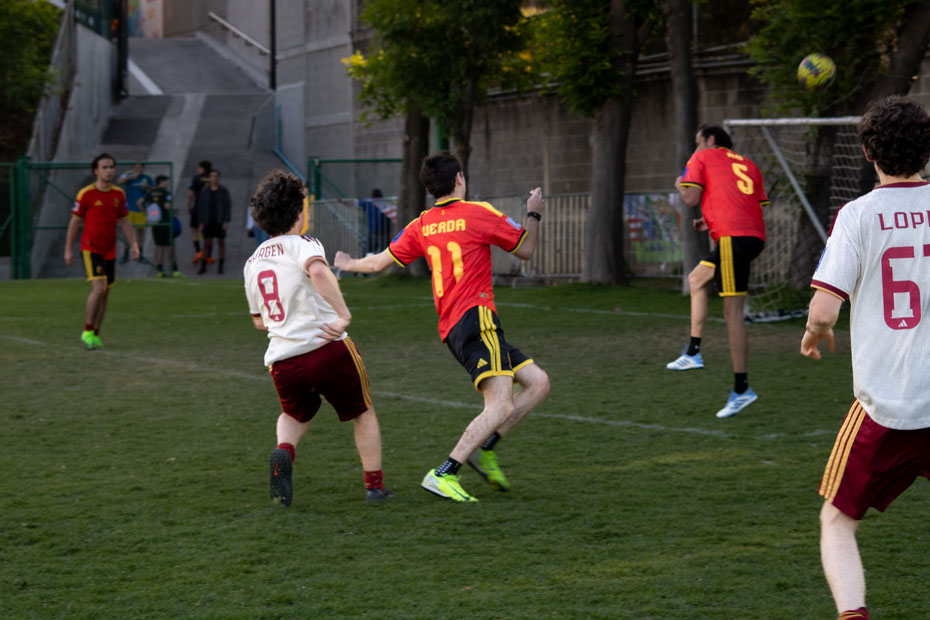 Ir a la Siguiente Foto