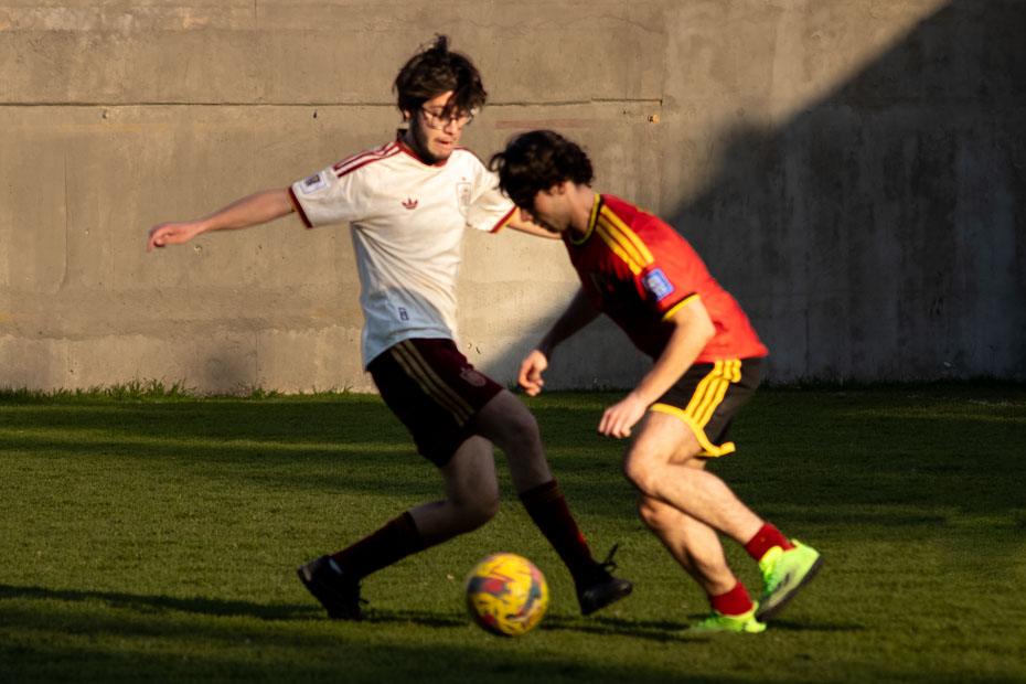 Ir a la Siguiente Foto