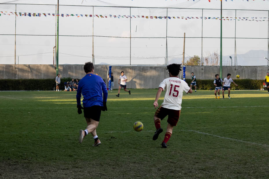 Ir a la Siguiente Foto