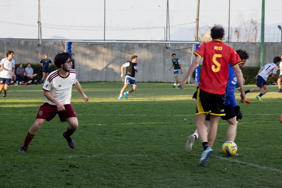 Ir a la Siguiente Foto