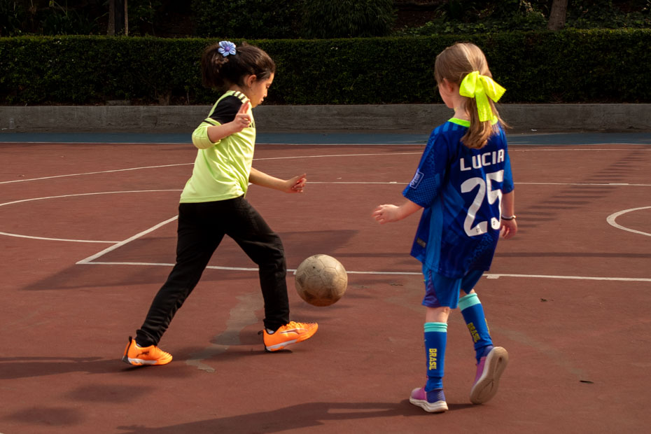 Ir a la Siguiente Foto