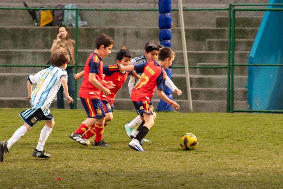 Ir a la Siguiente Foto