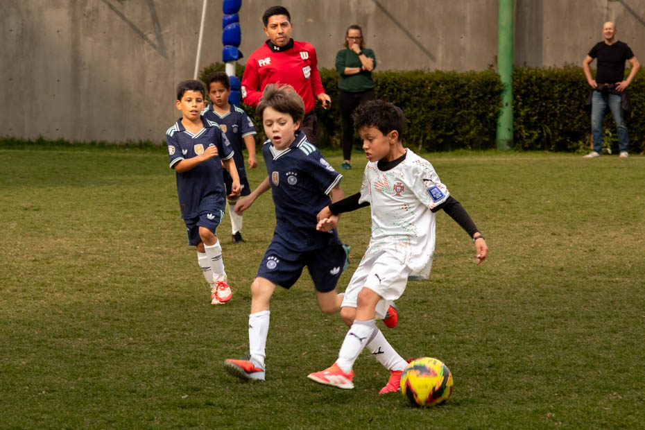 Ir a la Siguiente Foto