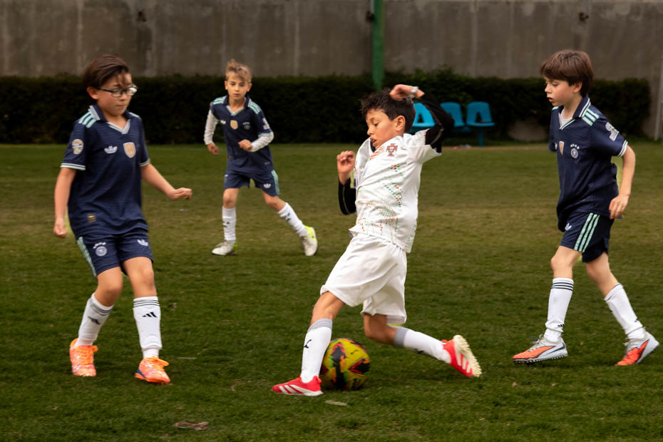 Ir a la Siguiente Foto