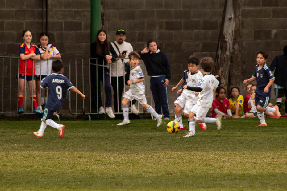 Ir a la Siguiente Foto