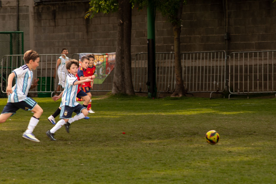 Ir a la Siguiente Foto