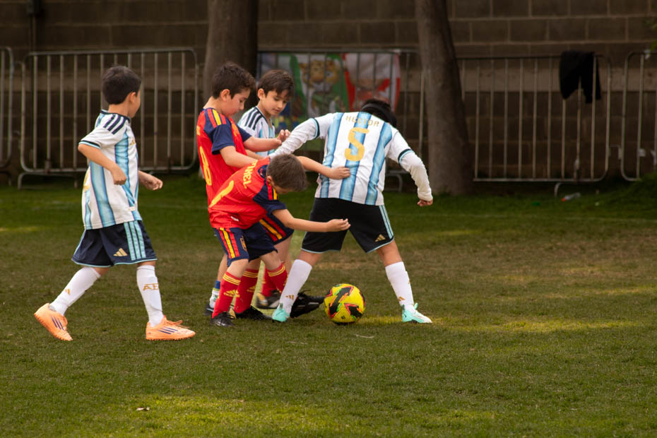 Ir a la Siguiente Foto