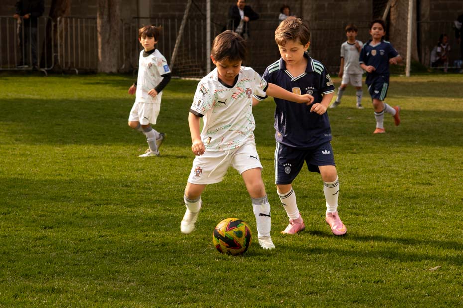 Ir a la Siguiente Foto