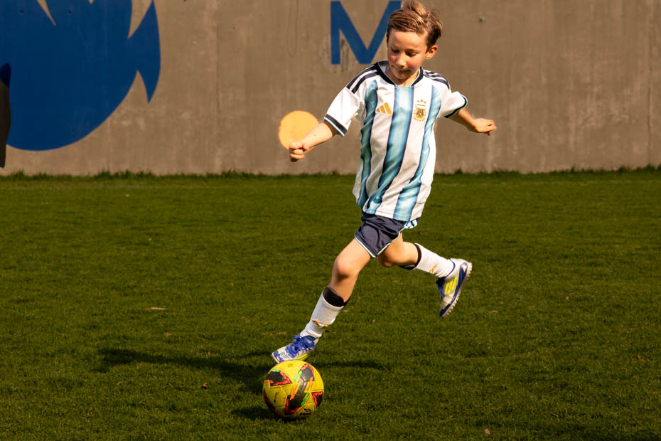 Ir a la Siguiente Foto