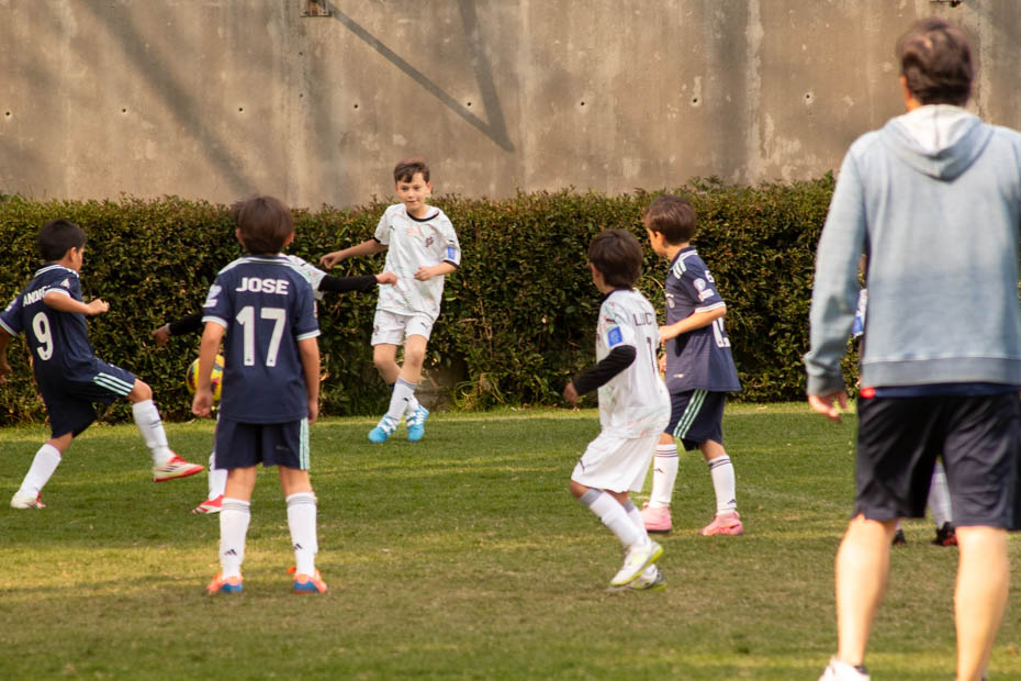 Ir a la Siguiente Foto